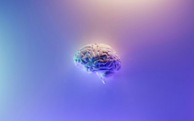 Die Psychologie der Lichtwerbung: Warum unser Gehirn auf leuchtende Werbung reagiert